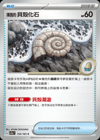 陳舊的貝殼化石 (#154)