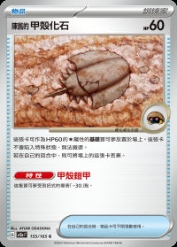 陳舊的甲殼化石 (#155)