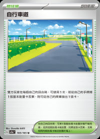 自行車道 (#165)